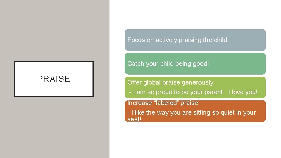 Focus on actively praising the child Catch your child being good! PRAISE Offer global