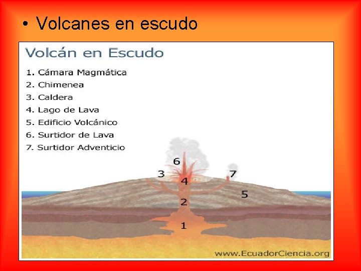  • Volcanes en escudo 