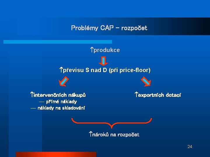 Problémy CAP – rozpočet produkce převisu S nad D (při price-floor) intervenčních nákupů exportních