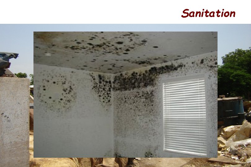 Sanitation 