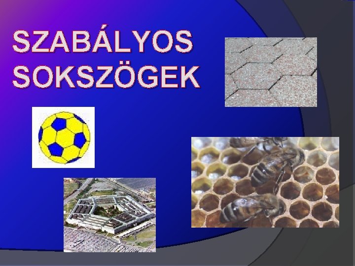 SZABÁLYOS SOKSZÖGEK 