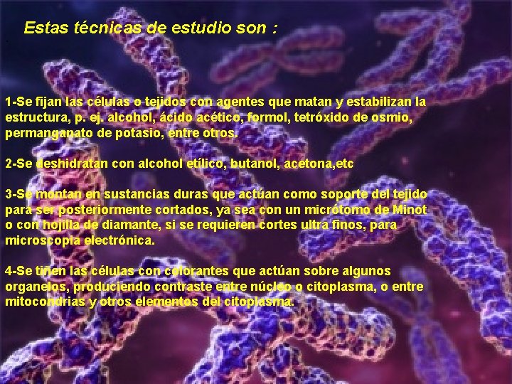 . Estas técnicas de estudio son : 1 -Se fijan las células o tejidos