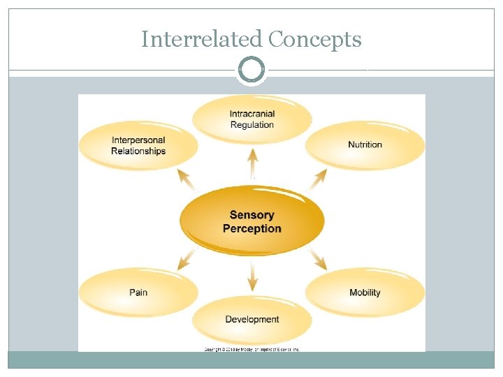 Interrelated Concepts 