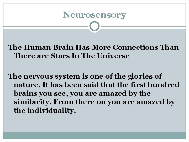 Neurosensory The Human Brain Has More Connections Than There are Stars In The Universe