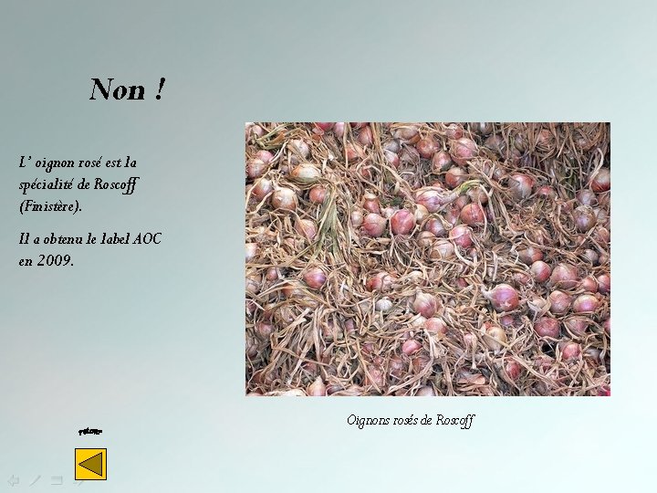 Non ! L’ oignon rosé est la spécialité de Roscoff (Finistère). Il a obtenu