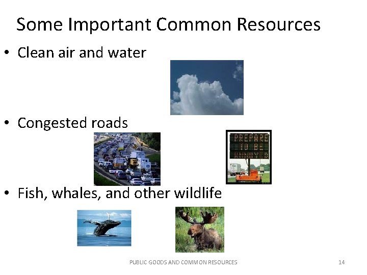 Some Important Common Resources • Clean air and water • Congested roads • Fish,