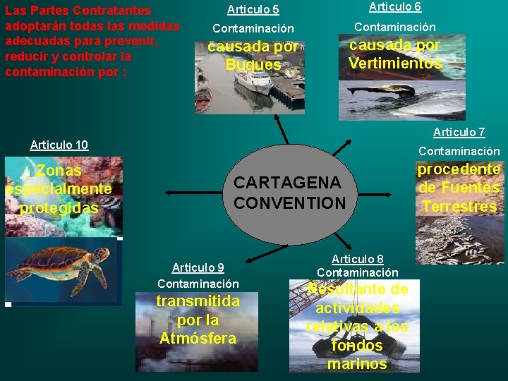 Las Partes Contratantes adoptarán todas las medidas adecuadas para prevenir, reducir y controlar la