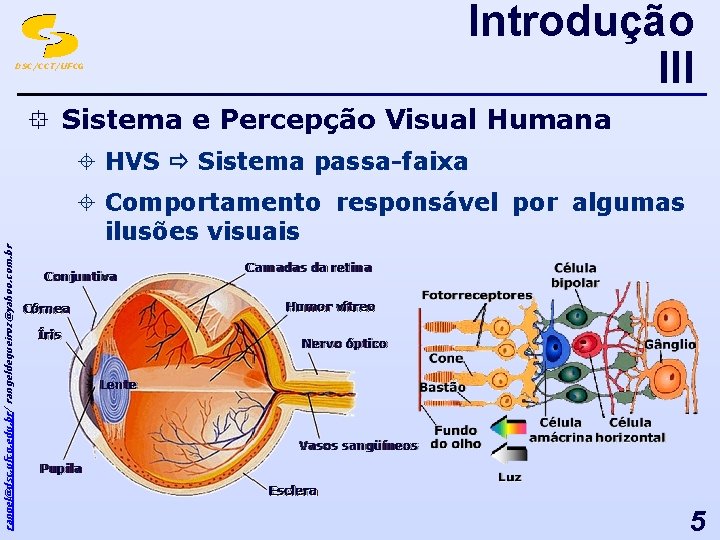 DSC/CCT/UFCG Introdução III ° Sistema e Percepção Visual Humana ± HVS Sistema passa-faixa rangel@dsc.