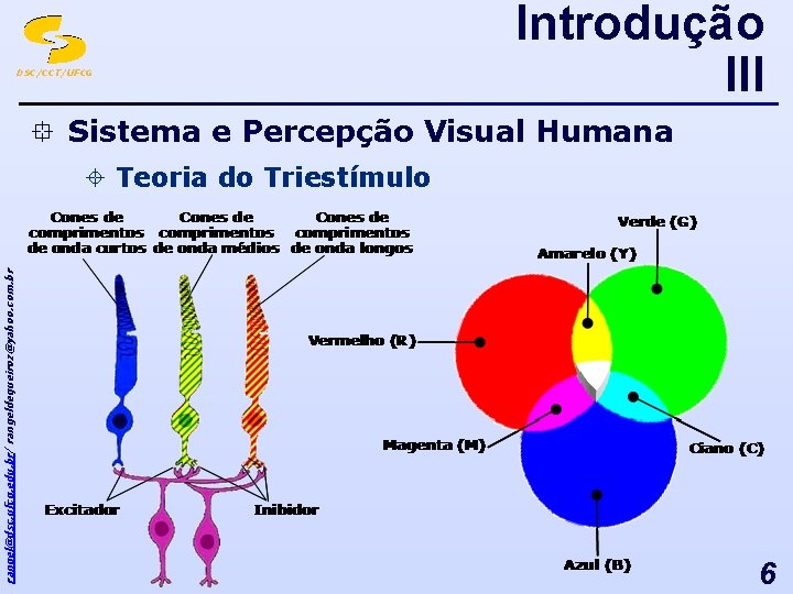 DSC/CCT/UFCG Introdução III ° Sistema e Percepção Visual Humana rangel@dsc. ufcg. edu. br/ rangeldequeiroz@yahoo.