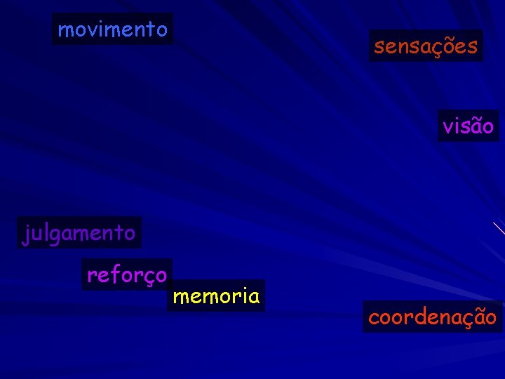 movimento sensações visão julgamento reforço memoria coordenação 