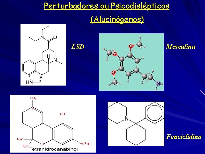 Perturbadores ou Psicodislépticos (Alucinógenos) LSD Mescalina Fenciclidina 