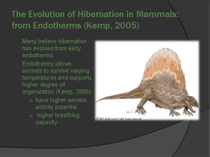 The Evolution of Hibernation in Mammals: from Endotherms (Kemp, 2005) Many believe hibernation has