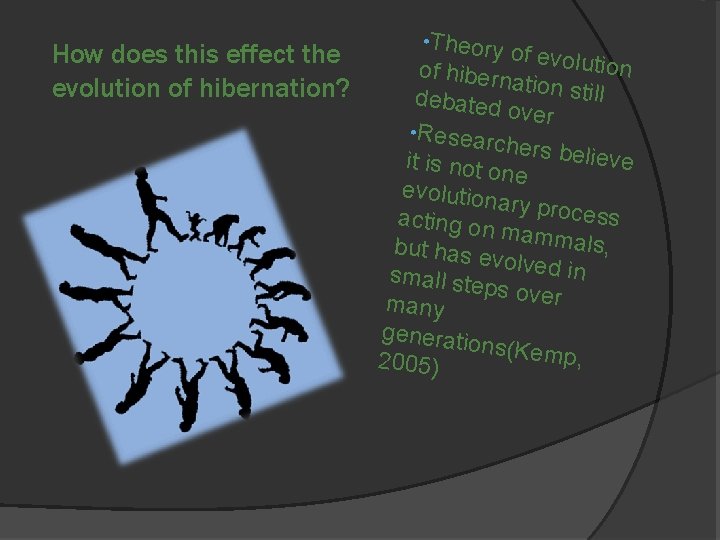 How does this effect the evolution of hibernation? • Theory of evolu tion of