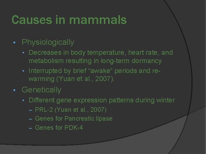 Causes in mammals • Physiologically • Decreases in body temperature, heart rate, and metabolism