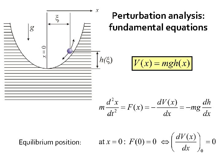 Perturbation analysis: fundamental equations Equilibrium position: 