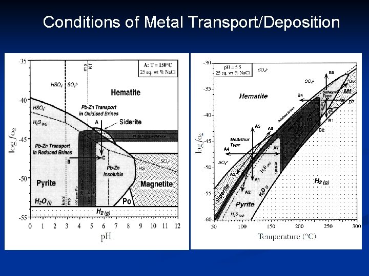 Conditions of Metal Transport/Deposition 