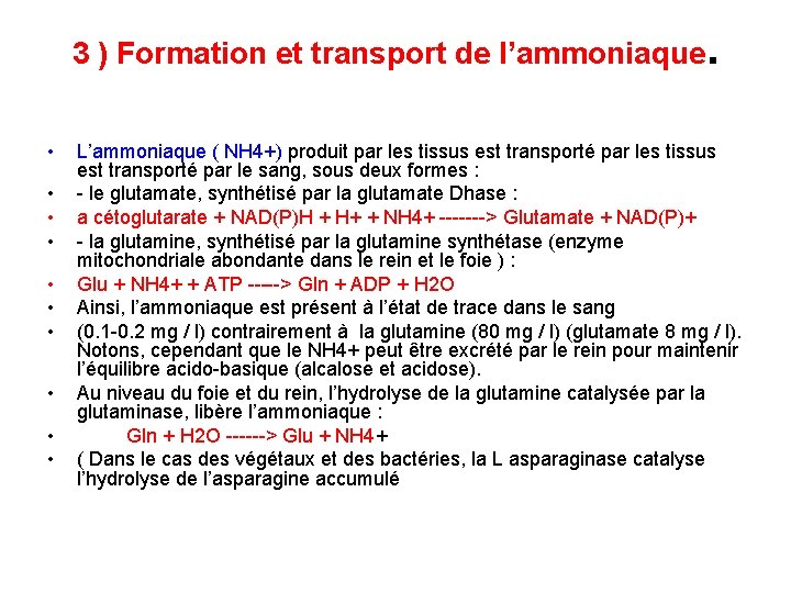 3 ) Formation et transport de l’ammoniaque. • • • L’ammoniaque ( NH 4+)