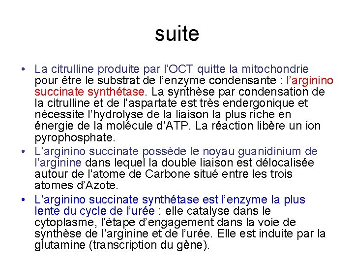 suite • La citrulline produite par l’OCT quitte la mitochondrie pour être le substrat