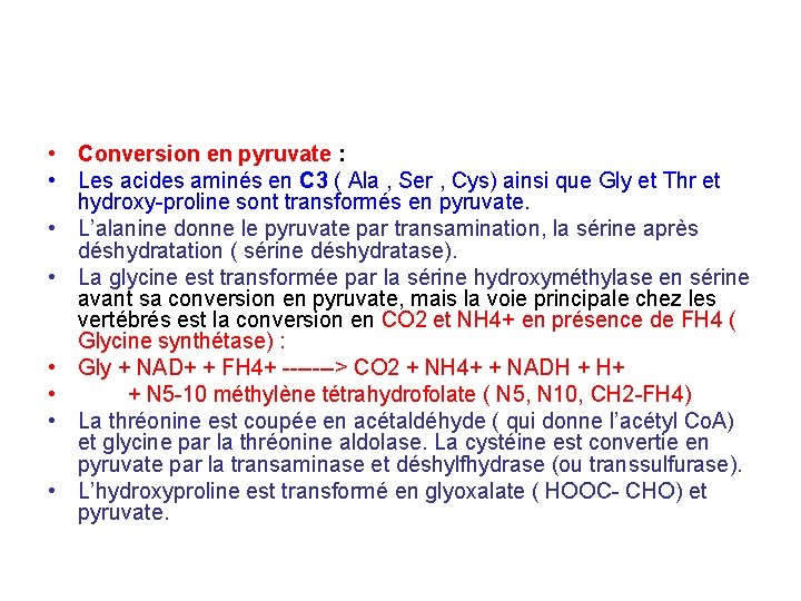  • Conversion en pyruvate : • Les acides aminés en C 3 (