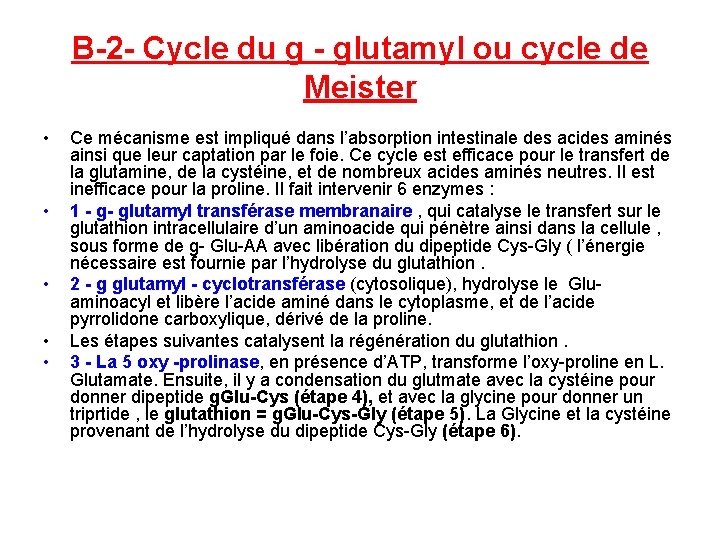 B 2 Cycle du g glutamyl ou cycle de Meister • • • Ce