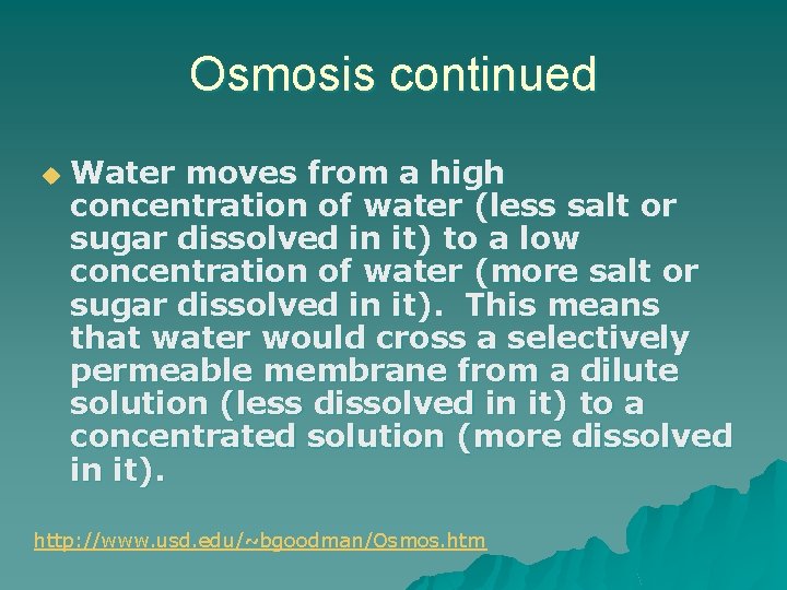 Osmosis continued u Water moves from a high concentration of water (less salt or