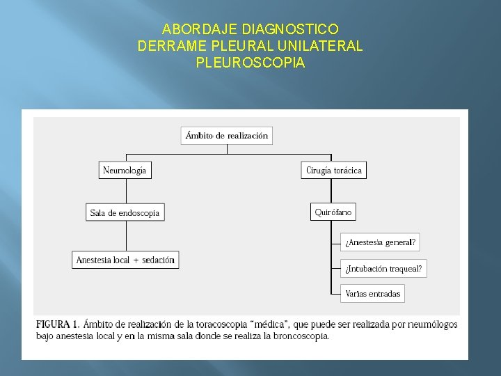 ABORDAJE DIAGNOSTICO DERRAME PLEURAL UNILATERAL PLEUROSCOPIA 