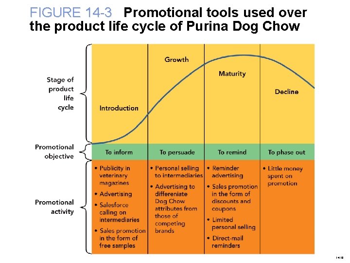 FIGURE 14 -3 Promotional tools used over the product life cycle of Purina Dog