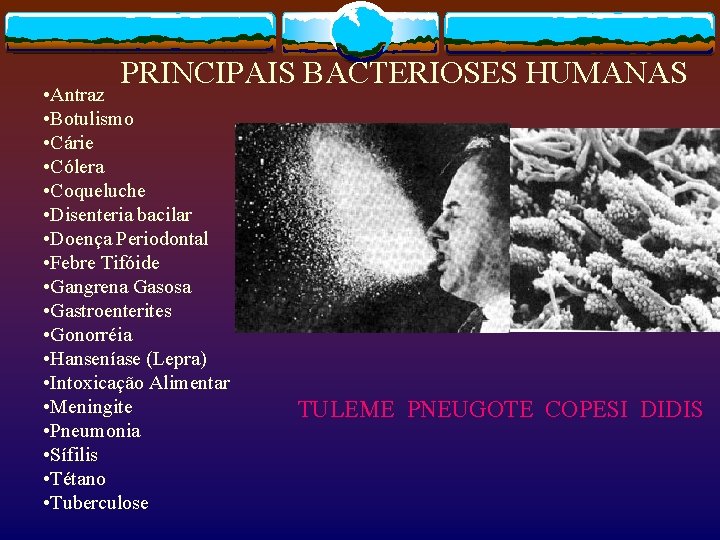 PRINCIPAIS BACTERIOSES HUMANAS • Antraz • Botulismo • Cárie • Cólera • Coqueluche •