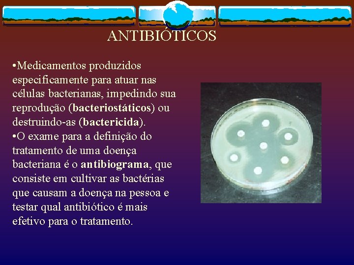 ANTIBIÓTICOS • Medicamentos produzidos especificamente para atuar nas células bacterianas, impedindo sua reprodução (bacteriostáticos)