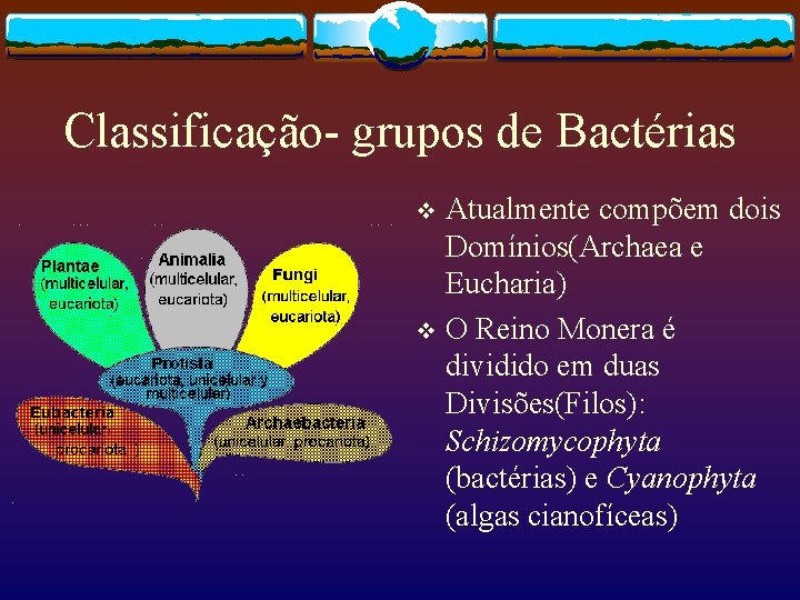 Classificação- grupos de Bactérias Atualmente compõem dois Domínios(Archaea e Eucharia) v O Reino Monera