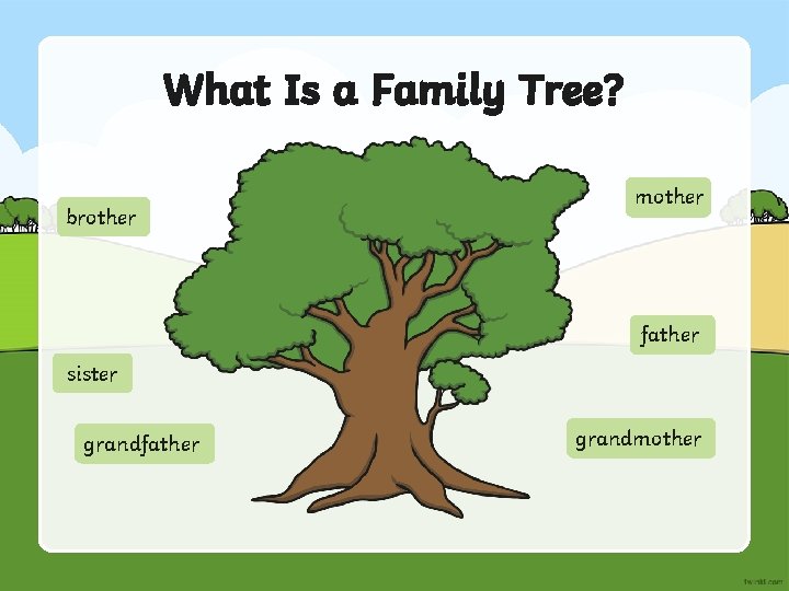 What Is a Family Tree? brother mother father sister grandfather grandmother 