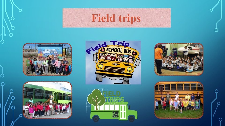 Field trips 