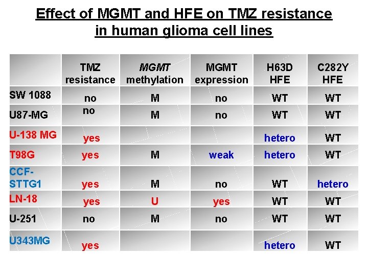 Effect of MGMT and HFE on TMZ resistance in human glioma cell lines TMZ