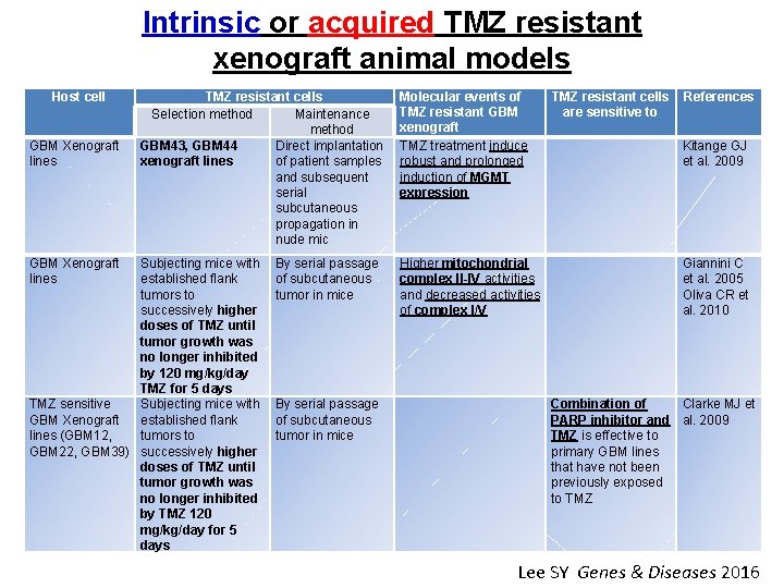 Intrinsic or acquired TMZ resistant xenograft animal models Host cell GBM Xenograft lines TMZ
