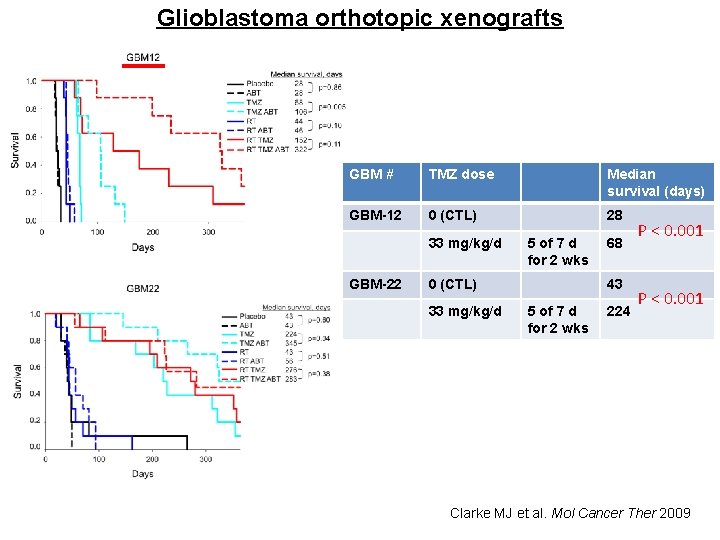 Glioblastoma orthotopic xenografts GBM # TMZ dose Median survival (days) GBM-12 0 (CTL) 28