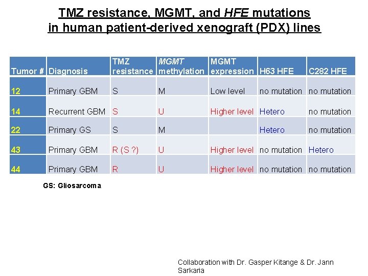 TMZ resistance, MGMT, and HFE mutations in human patient-derived xenograft (PDX) lines Tumor #