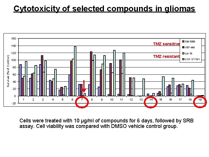 Cytotoxicity of selected compounds in gliomas 160 TMZ sensitive 140 Survival (% of Control)