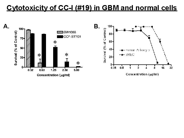 Cytotoxicity of CC-I (#19) in GBM and normal cells A. B. 