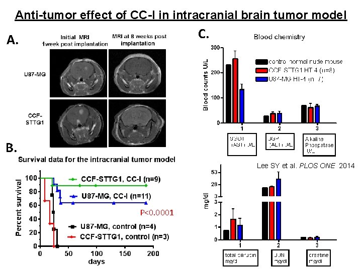 Anti-tumor effect of CC-I in intracranial brain tumor model C. A. B. Lee SY
