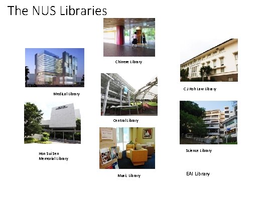The NUS Libraries Chinese Library C J Koh Law Library Medical Library Central Library