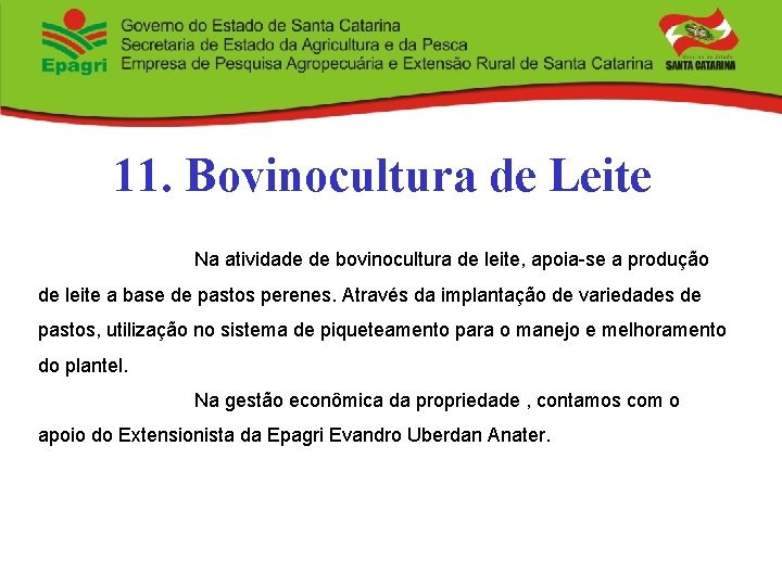 11. Bovinocultura de Leite Na atividade de bovinocultura de leite, apoia-se a produção de