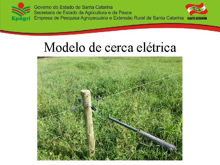 Modelo de cerca elétrica 