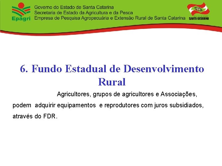 6. Fundo Estadual de Desenvolvimento Rural Agricultores, grupos de agricultores e Associações, podem adquirir