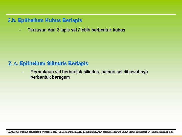 2. b. Epithelium Kubus Berlapis – Tersusun dari 2 lapis sel / lebih berbentuk