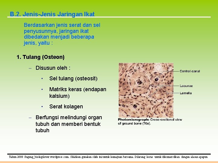 B. 2. Jenis-Jenis Jaringan Ikat Berdasarkan jenis serat dan sel penyusunnya, jaringan ikat dibedakan