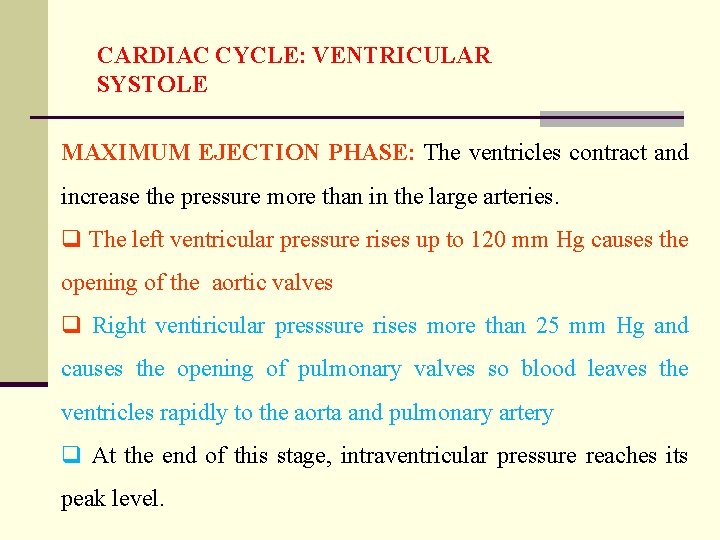 CARDIAC CYCLE: VENTRICULAR SYSTOLE MAXIMUM EJECTION PHASE: The ventricles contract and increase the pressure