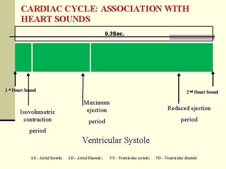 CARDIAC CYCLE: ASSOCIATION WITH HEART SOUNDS 0. 3 Sec. 1 st Heart Sound Isovolumetric