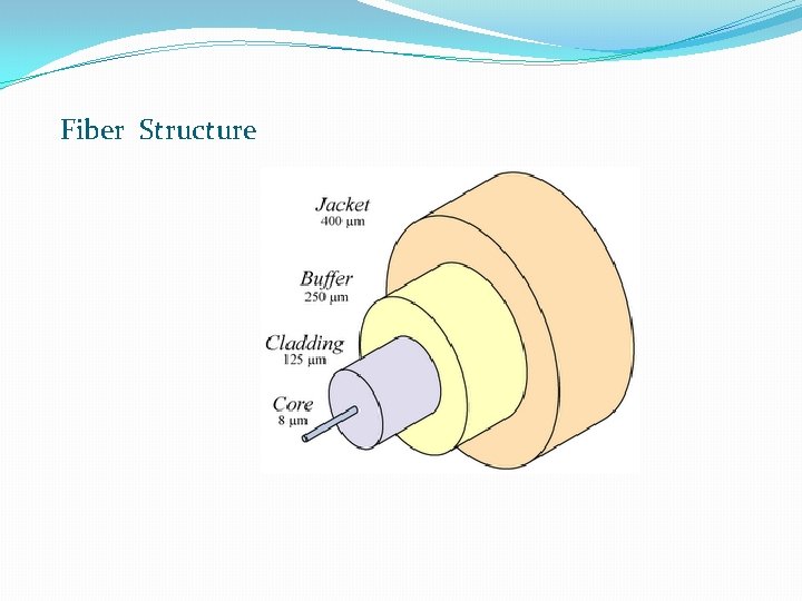Fiber Structure 