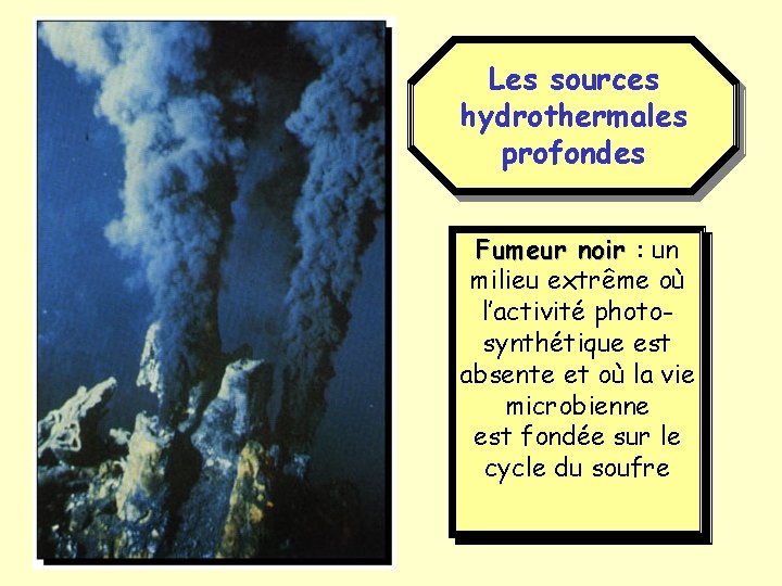 Les sources hydrothermales profondes Fumeur noir : un milieu extrême où l’activité photosynthétique est