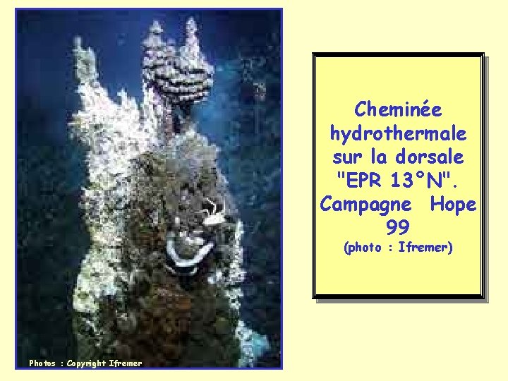 L ’écosystème Cheminée hydrothermale sur la dorsale "EPR 13°N". Campagne Hope 99 (photo :